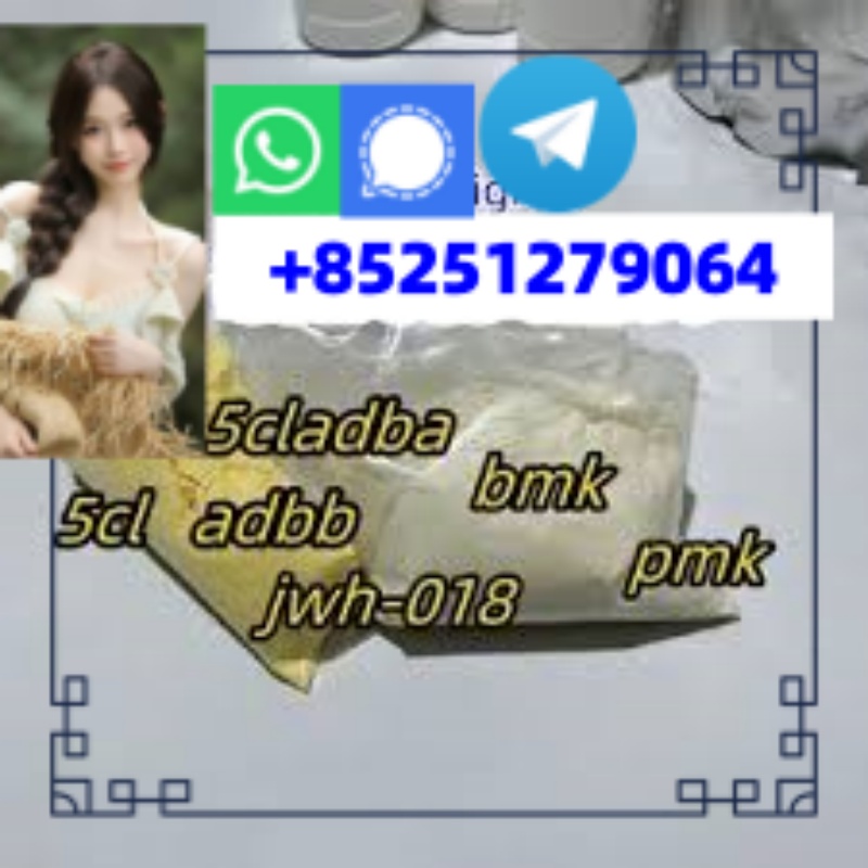 images (11)