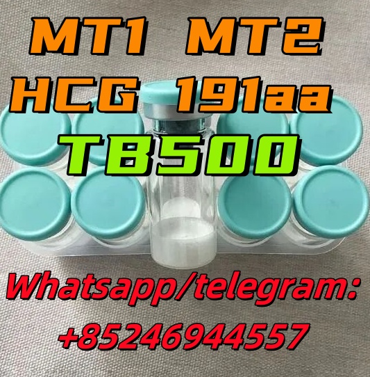 peptide (1)_副本
