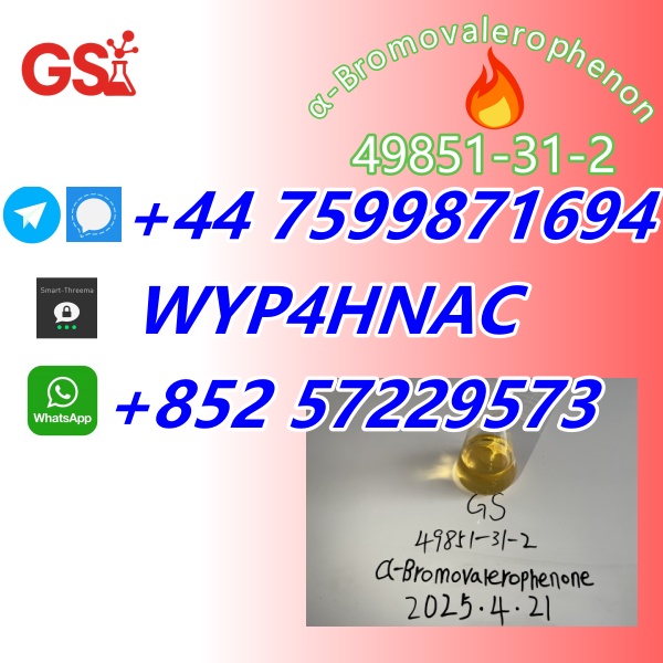 阿尔法_副本12