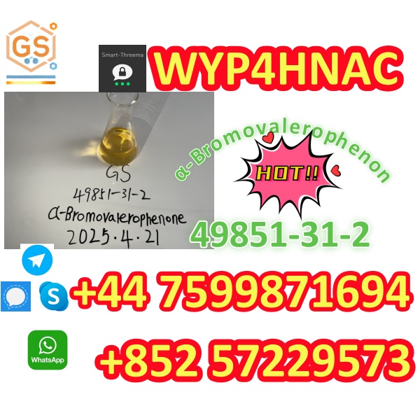 阿尔法_副本5