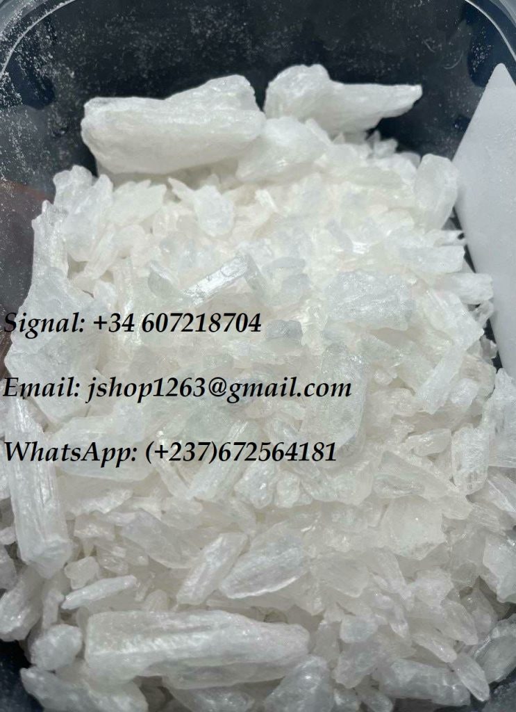 -6046339468094458798_121