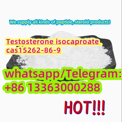 801cb0c5-a5a8-413f-8788-227783ac929e