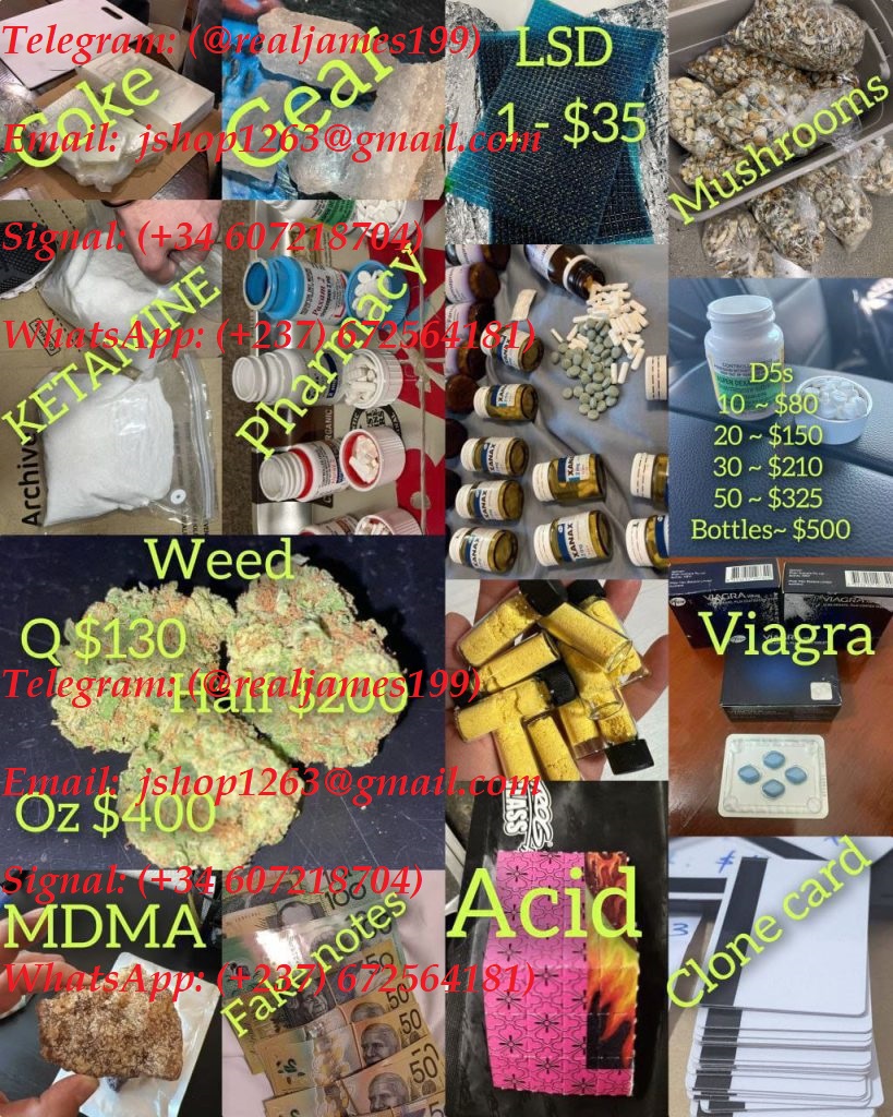 9970552a-1551-4d88-8f99-6ef7e42cd4ab-819×1024