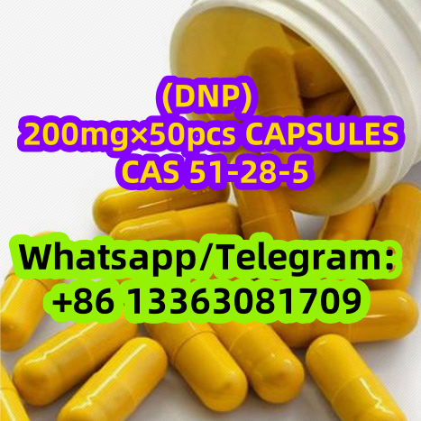 DNP-2 (2)