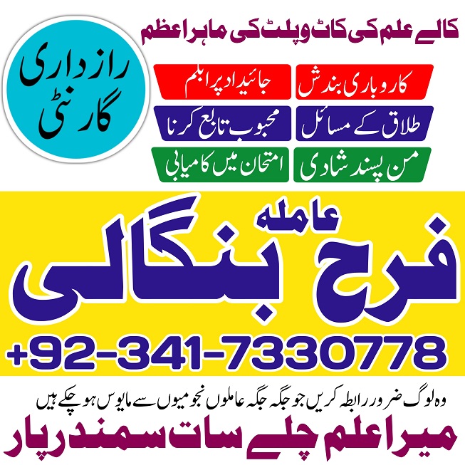 IMG-20250127-WA0013