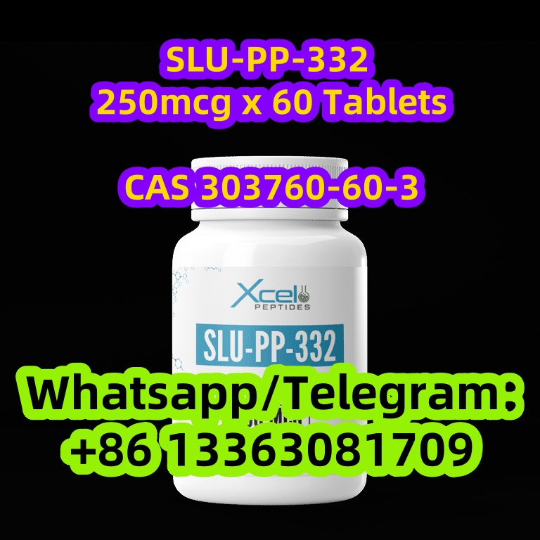 SLU-PP (2)