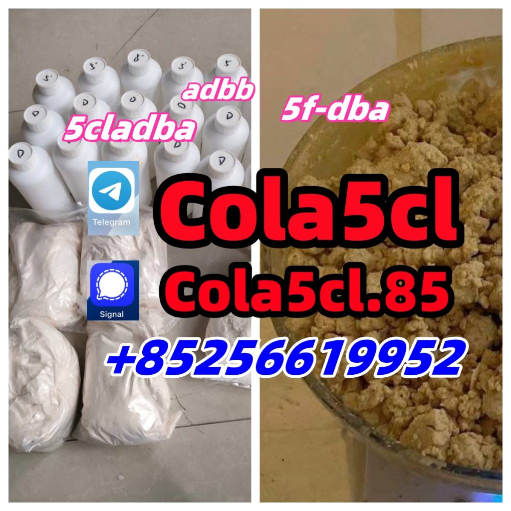 b4ce79_副本_副本