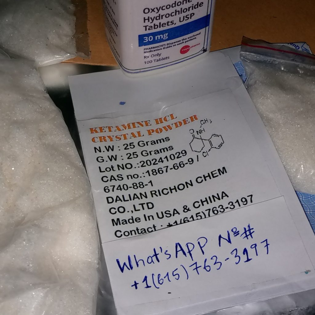 IMG_20241125_135517_638