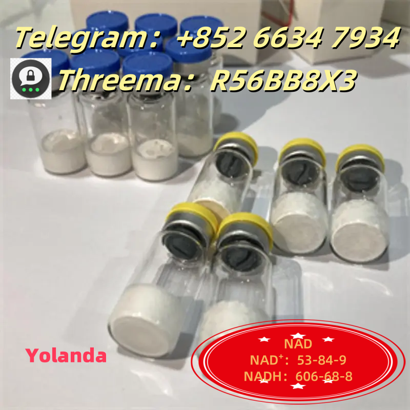 QQ图片20250731102443