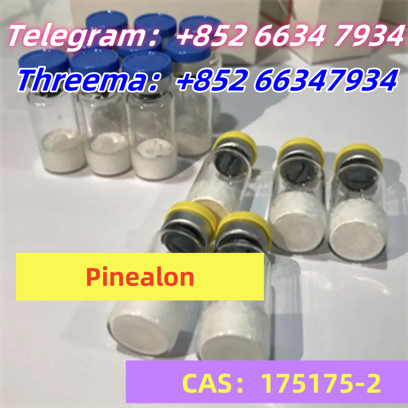 QQ图片20250731102443