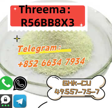 QQ图片20250804101014 – 副本