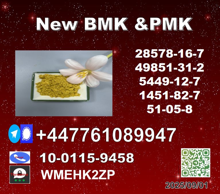 截圖20250829153657