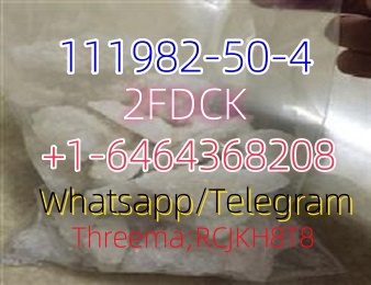 111982-50-4.1_副本