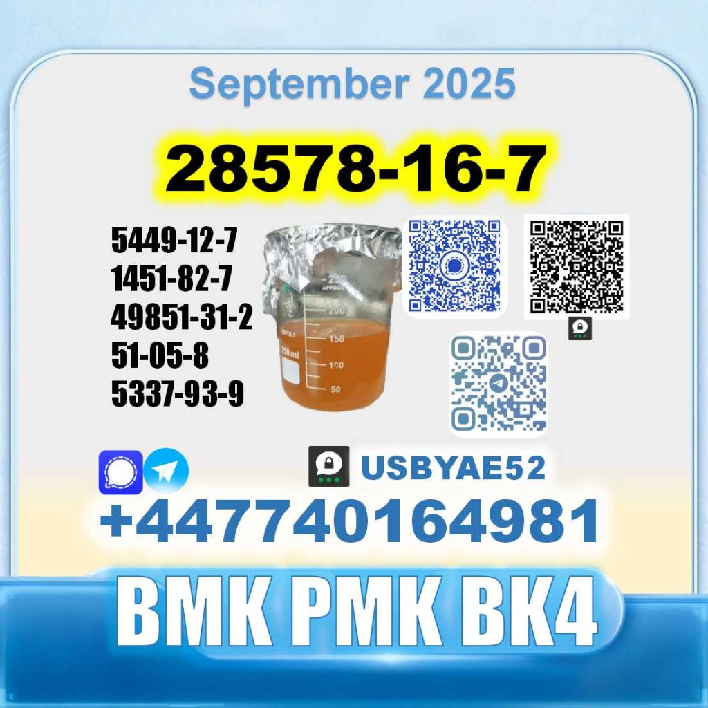 28578-16-7 PMK BMK (3)