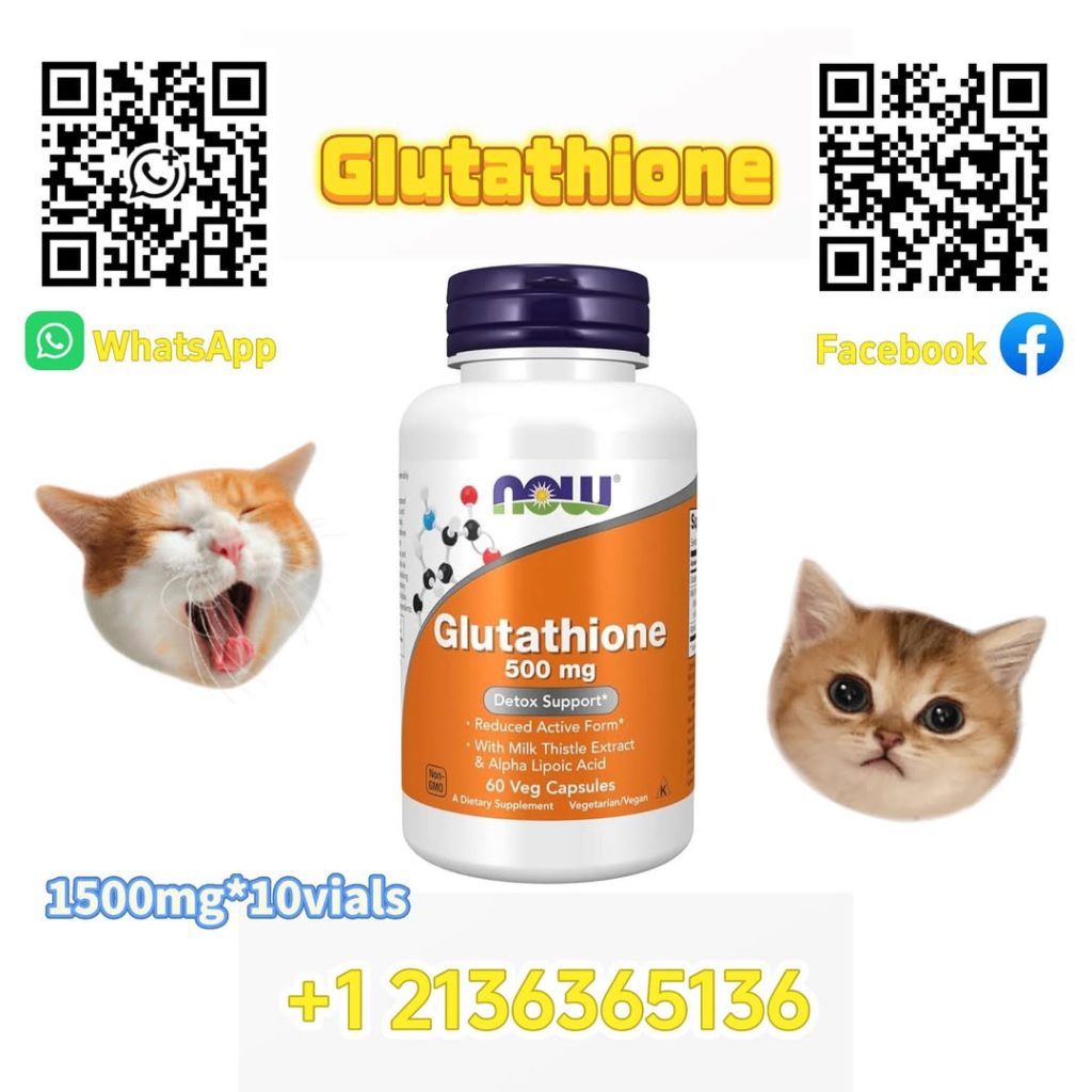 548295634_122105866059001944_8658062165511862189_n