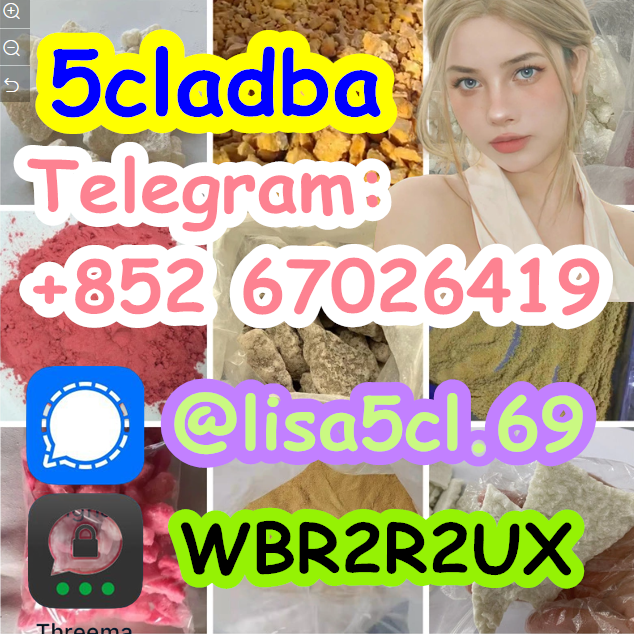 6a3c077e42e246a2b302c6c2d92b4924_副本2