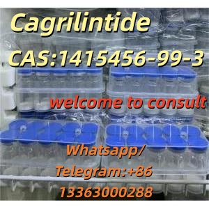 卡格列肽1415456-99-3
