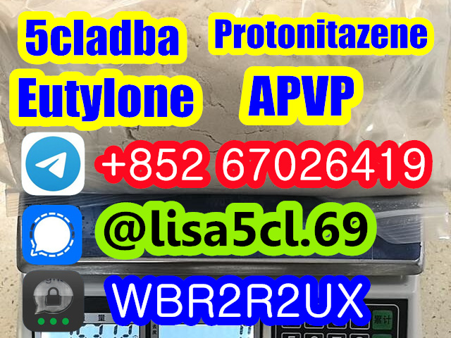 494275827_122128822286682141_8584993191837904323_n_副本