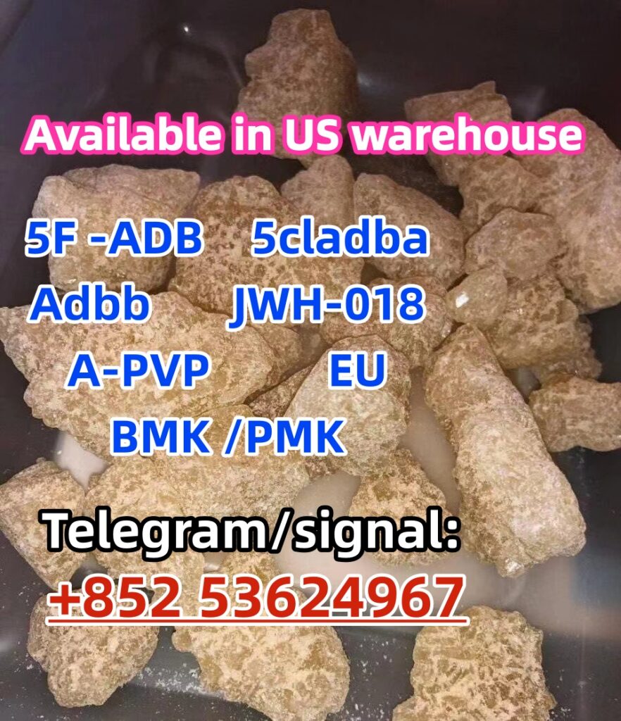 WhatsApp Image 2023-07-25 at 11.20.20 (1)