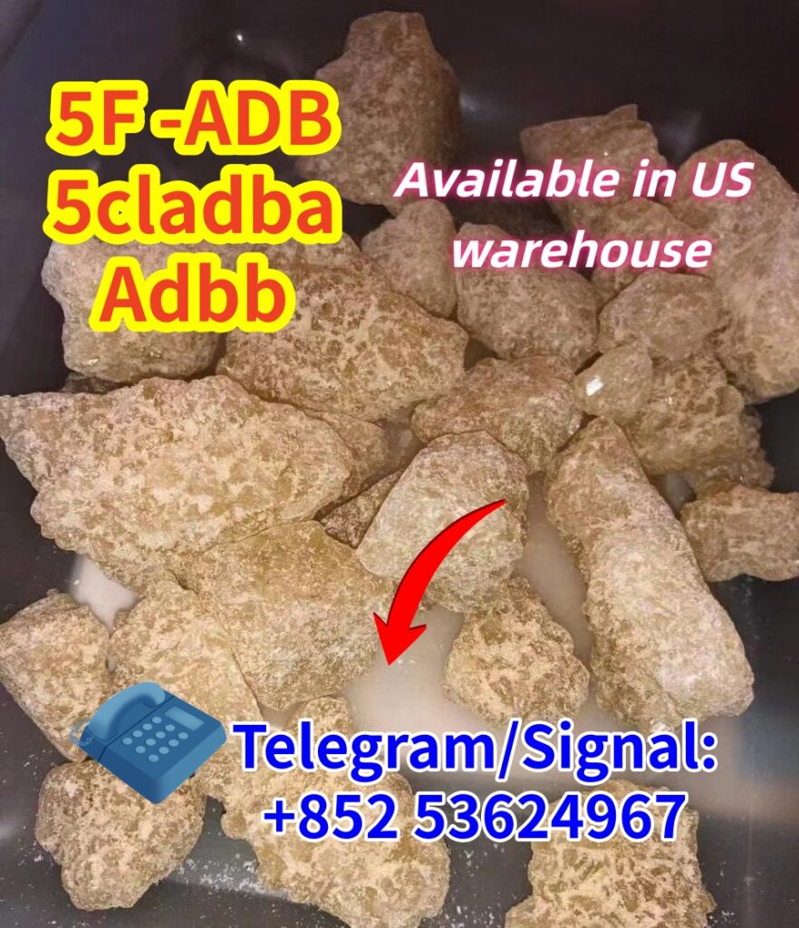 WhatsApp Image 2023-07-25 at 11.20.20 (1)