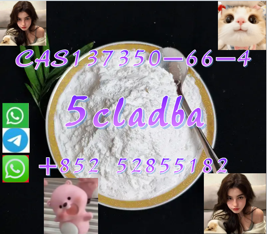 图片_20250930151349_119_3