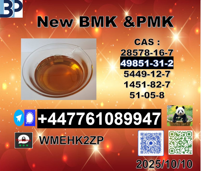 屏幕截图 2025-10-10 161747 – 副本 (9)