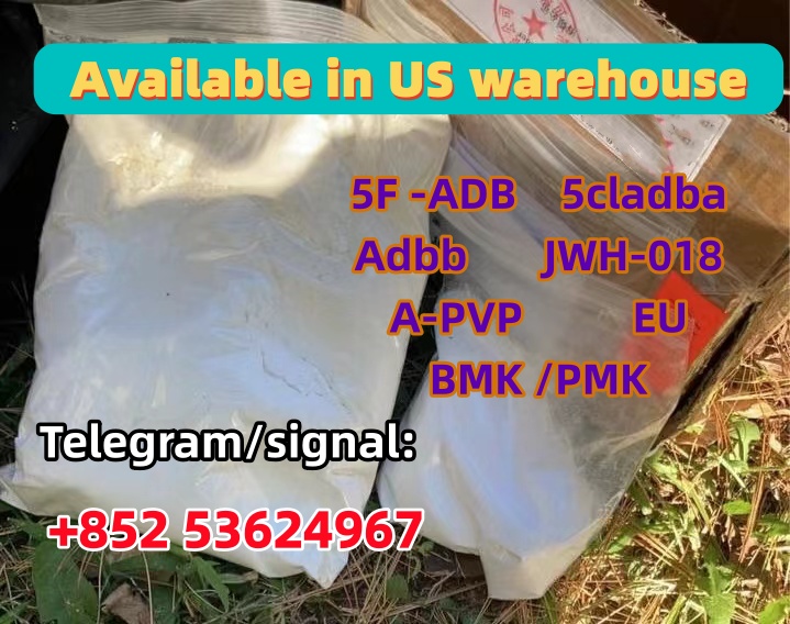 微信图片_20250529111209