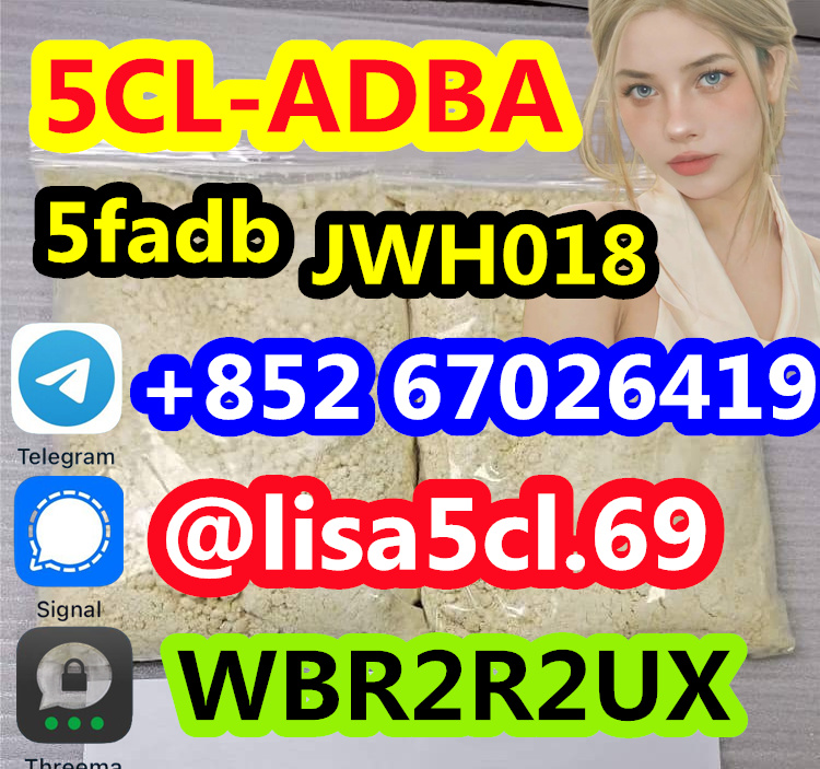 06c91e6d-a42d-4071-b20c-cbfff06fdf00_副本4