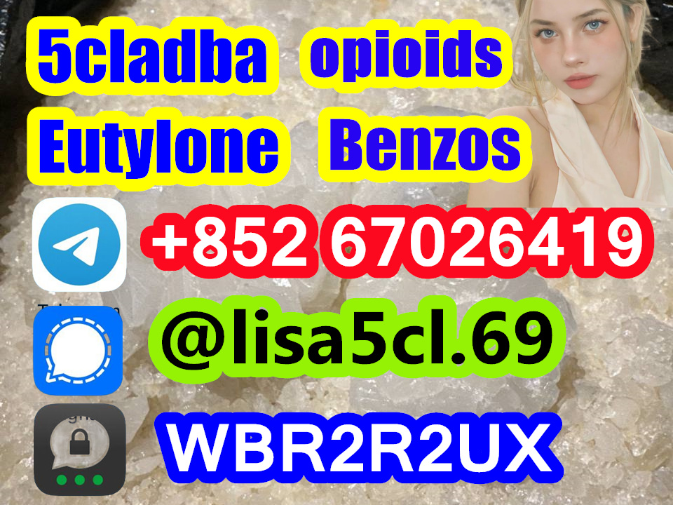 2bc2e190-3bae-4d20-8e09-02e69ca97c38