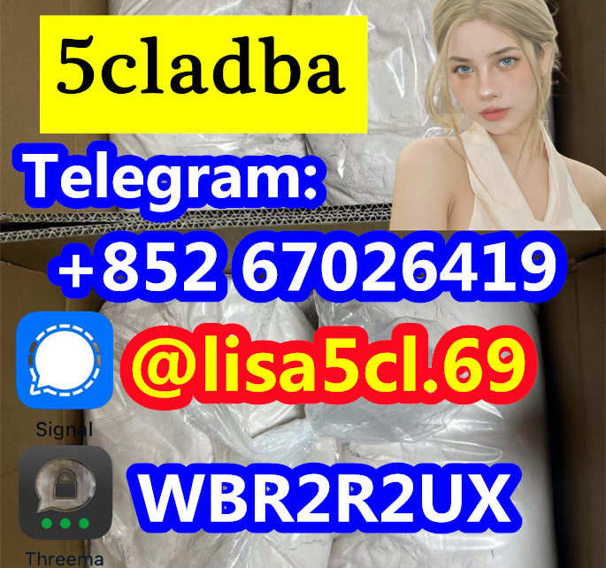 35b07b6e-fd63-497f-9a67-b18f5179e408_副本