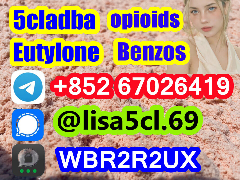 429ec193-6f7d-430f-81bb-8be0e082fea9