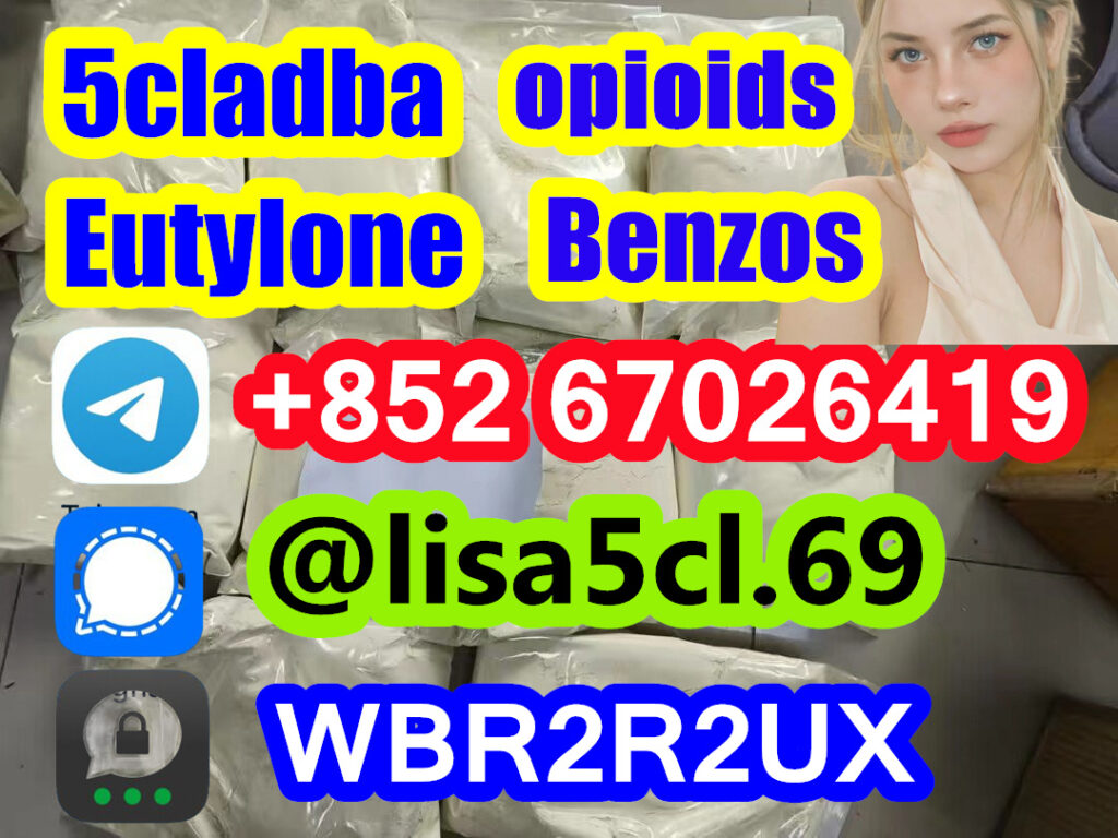 486371298_122118790886765250_433880922421103221_n_副本