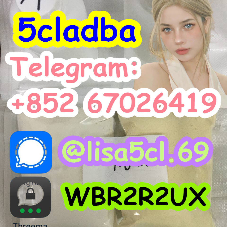 4c98bedb-b26b-40de-abc4-6d1fa01bc557_副本1