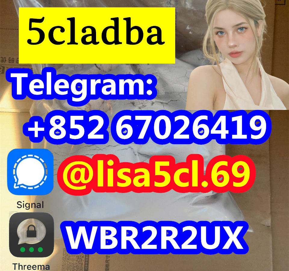 729c3c98-85f2-4a79-a585-ce8d40068d5b_副本