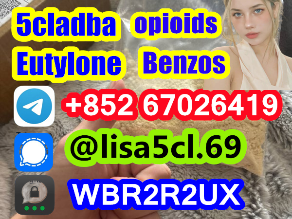 998a6da8-89b5-46de-bde9-8ec7927a06af