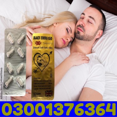 Black cobra in Pakistan