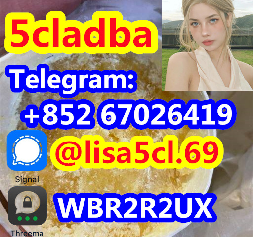 c39dc2fe-0119-4958-8968-af1c44208b1f_副本1