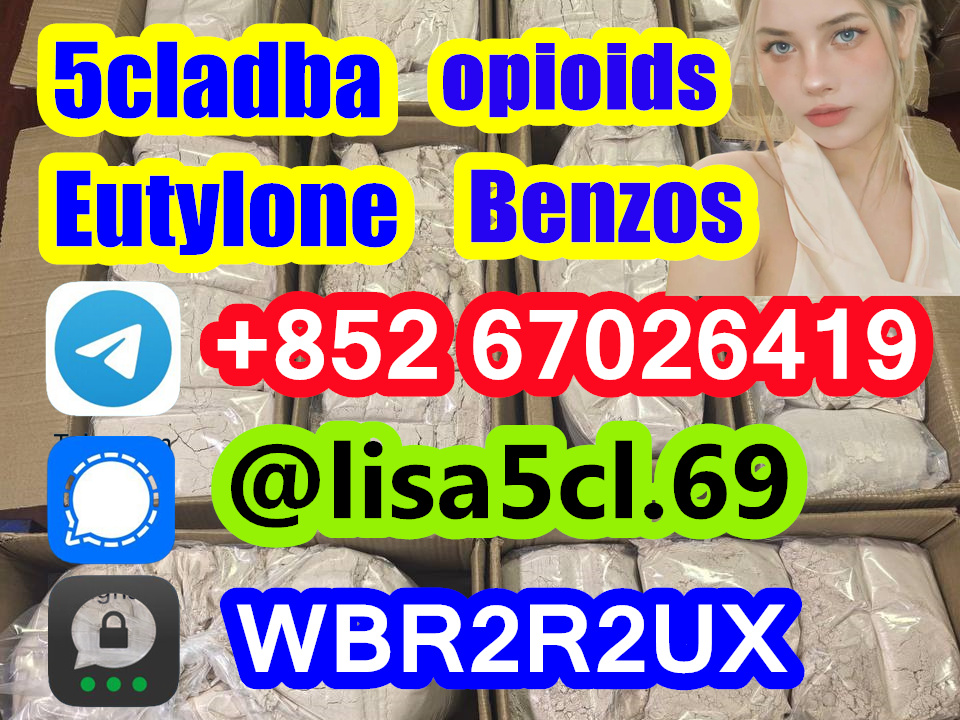 df7adf91-0b71-4812-95e0-db3417be6621