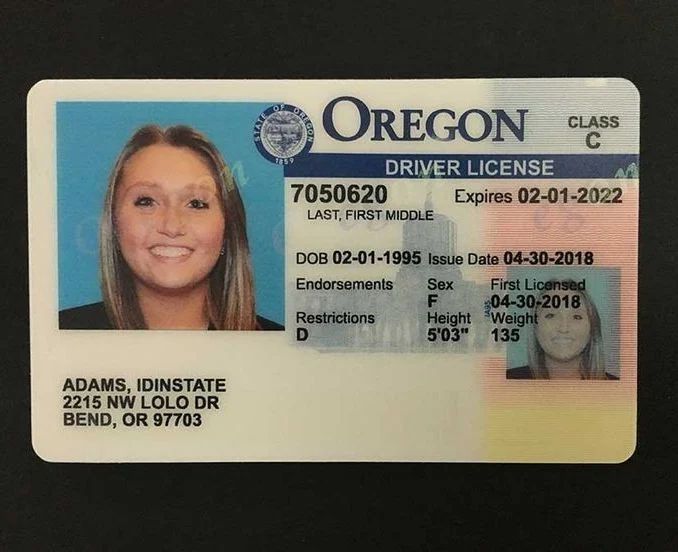 WhatsApp Image 2024-10-13 at 5.19.10 PM