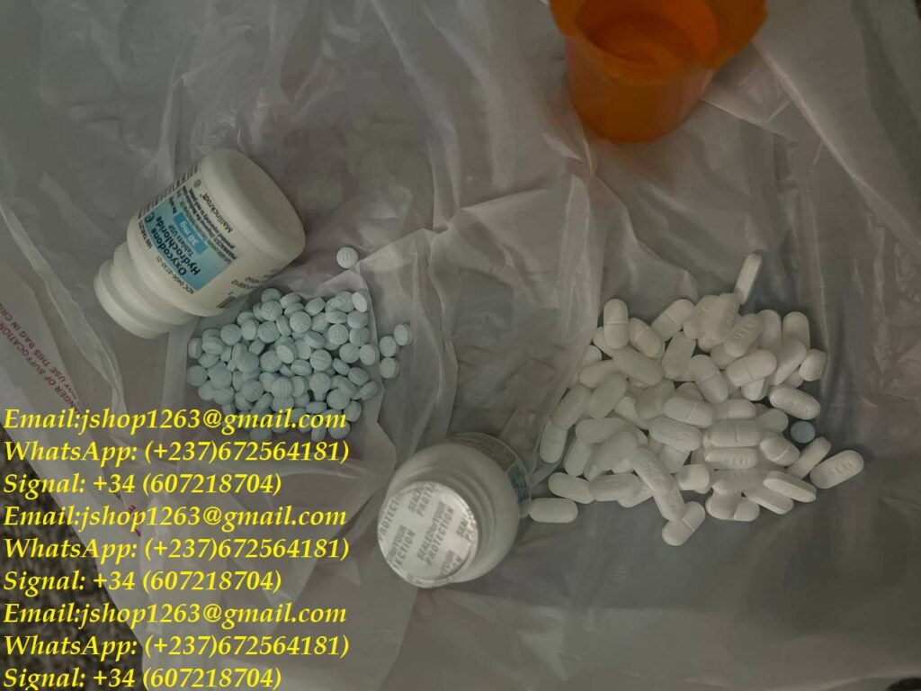 -5811919306970220894_121