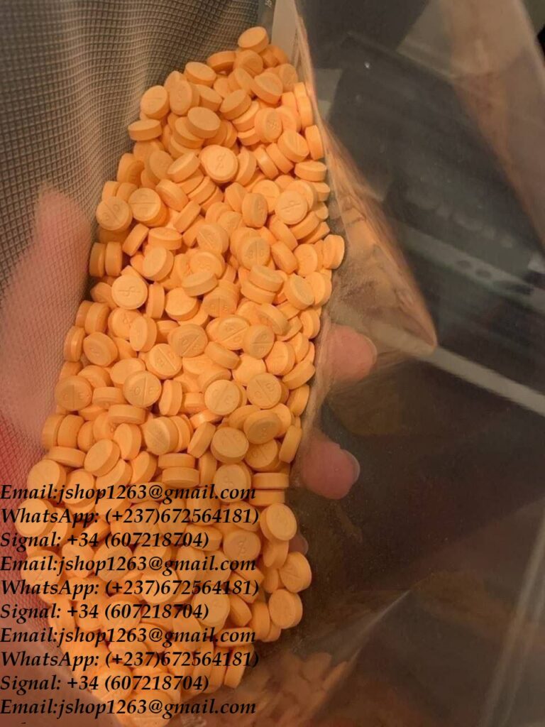 -5996789877804484688_121