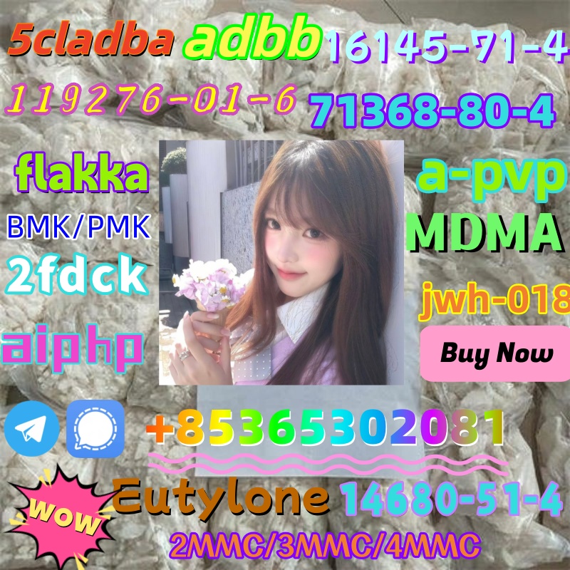 photo_6192803247366981098_x