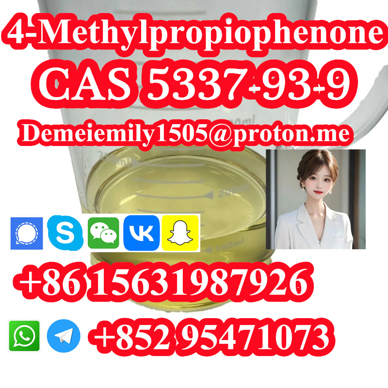 10001 (2)_副本_副本2