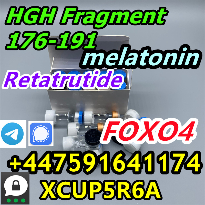 202207291735411303433