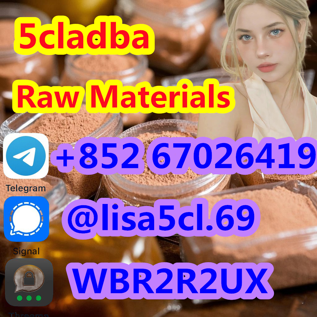 微信图片_20250314094618