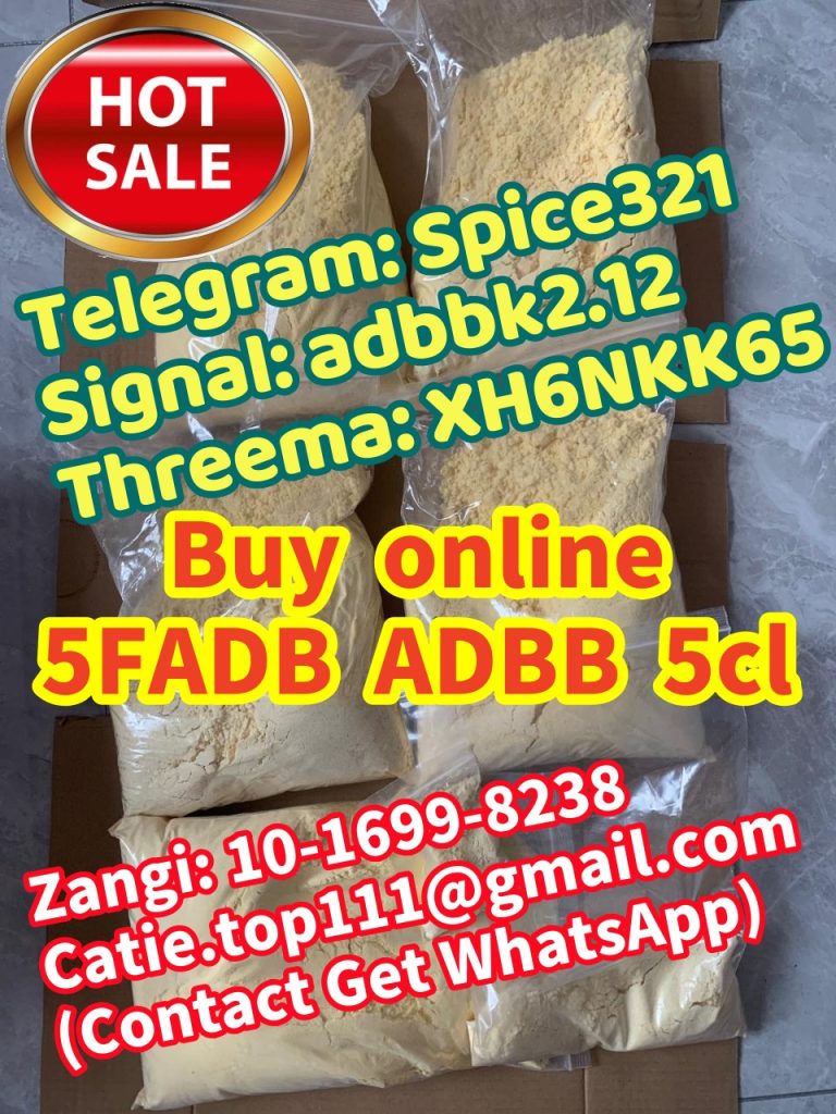 1719902214695_副本