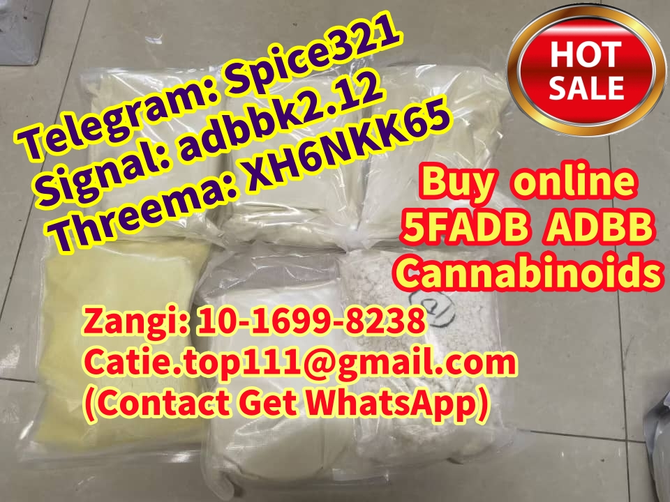 1720614465264_副本