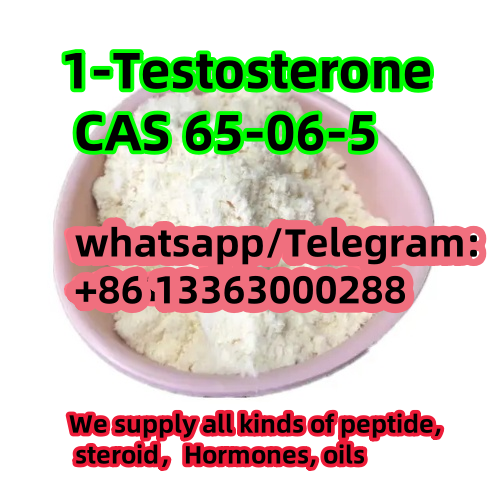 32b5b38d-fce5-4d4f-b39a-075f7e022838