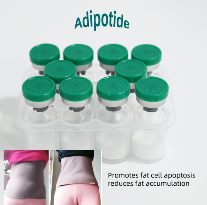 454fba09722dd0b285e2aeeeba44630