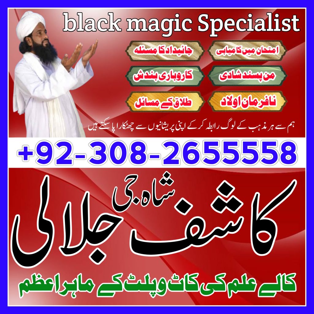 WhatsApp Image 2025-01-30 at 10.19.56 PM